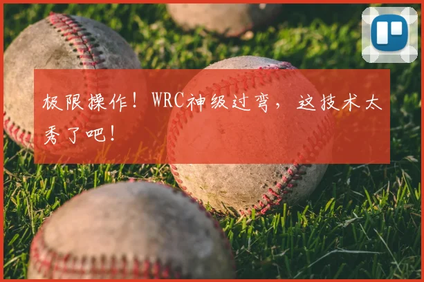 极限操作!WRC神级过弯,这技术太秀了吧!