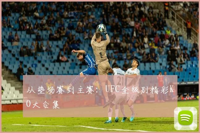 从垫场赛到主赛：UFC全级别精彩KO大合集