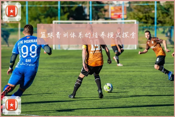篮球青训体系的培养模式探索