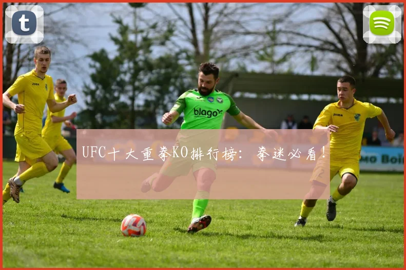 UFC十大重拳KO排行榜:拳迷必看!