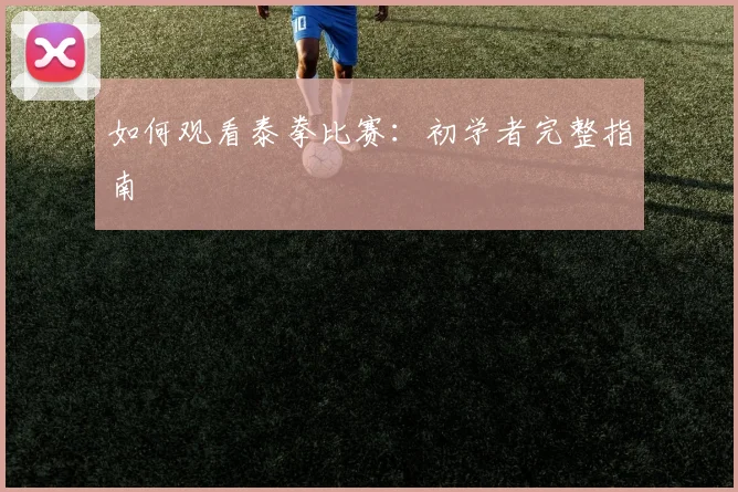 如何观看泰拳比赛：初学者完整指南