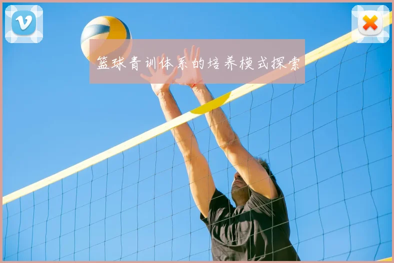篮球青训体系的培养模式探索