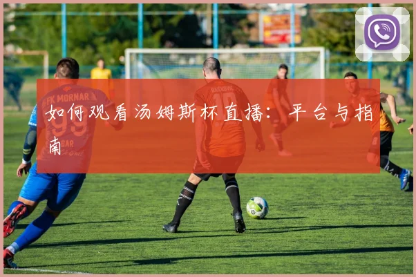 如何观看汤姆斯杯直播：平台与指南