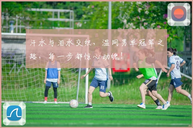 汗水与泪水交织,温网男单冠军之路,每一步都惊心动魄!
