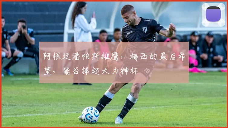 阿根廷潘帕斯雄鹰，梅西的最后希望，能否捧起大力神杯