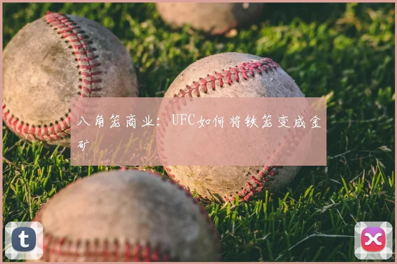 八角笼商业:UFC如何将铁笼变成金矿