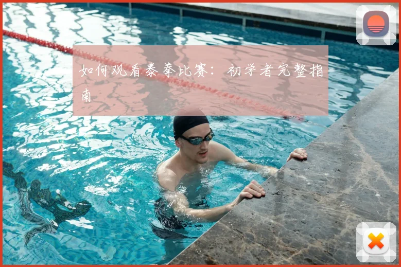 如何观看泰拳比赛:初学者完整指南