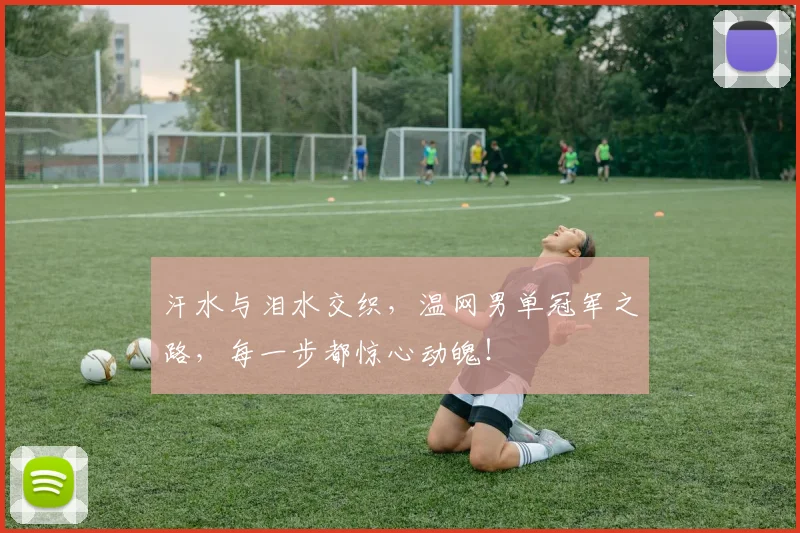 汗水与泪水交织,温网男单冠军之路,每一步都惊心动魄!